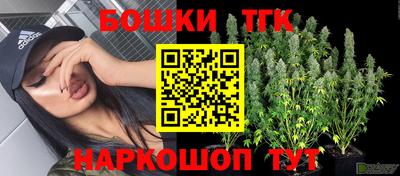 ECSTASY Бийск