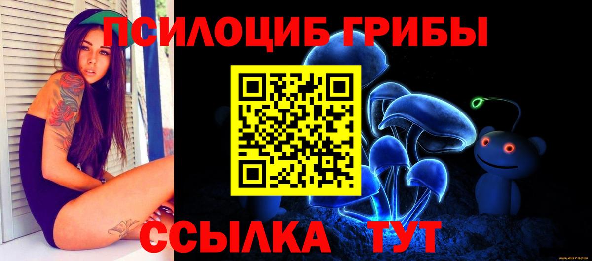 Кинель  купить наркотик  Вход с VPN  Псилоцибиновые грибы прущие грибы 